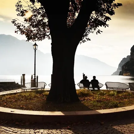 Riva City View-3